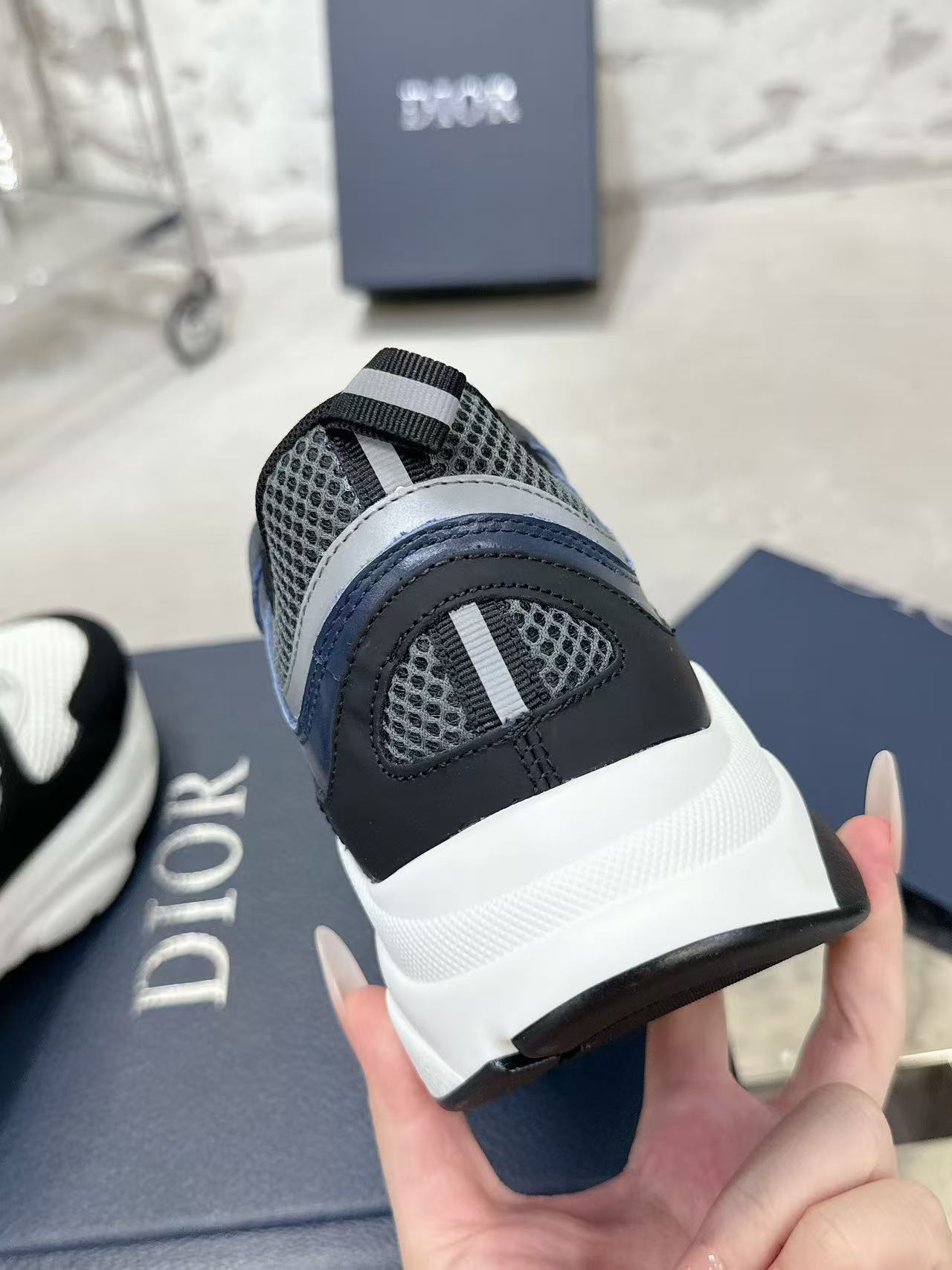 Dior B22