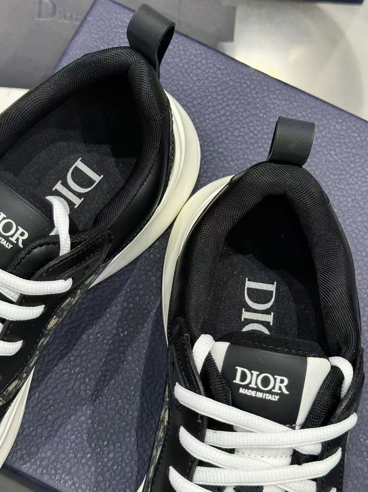 Dior B25
