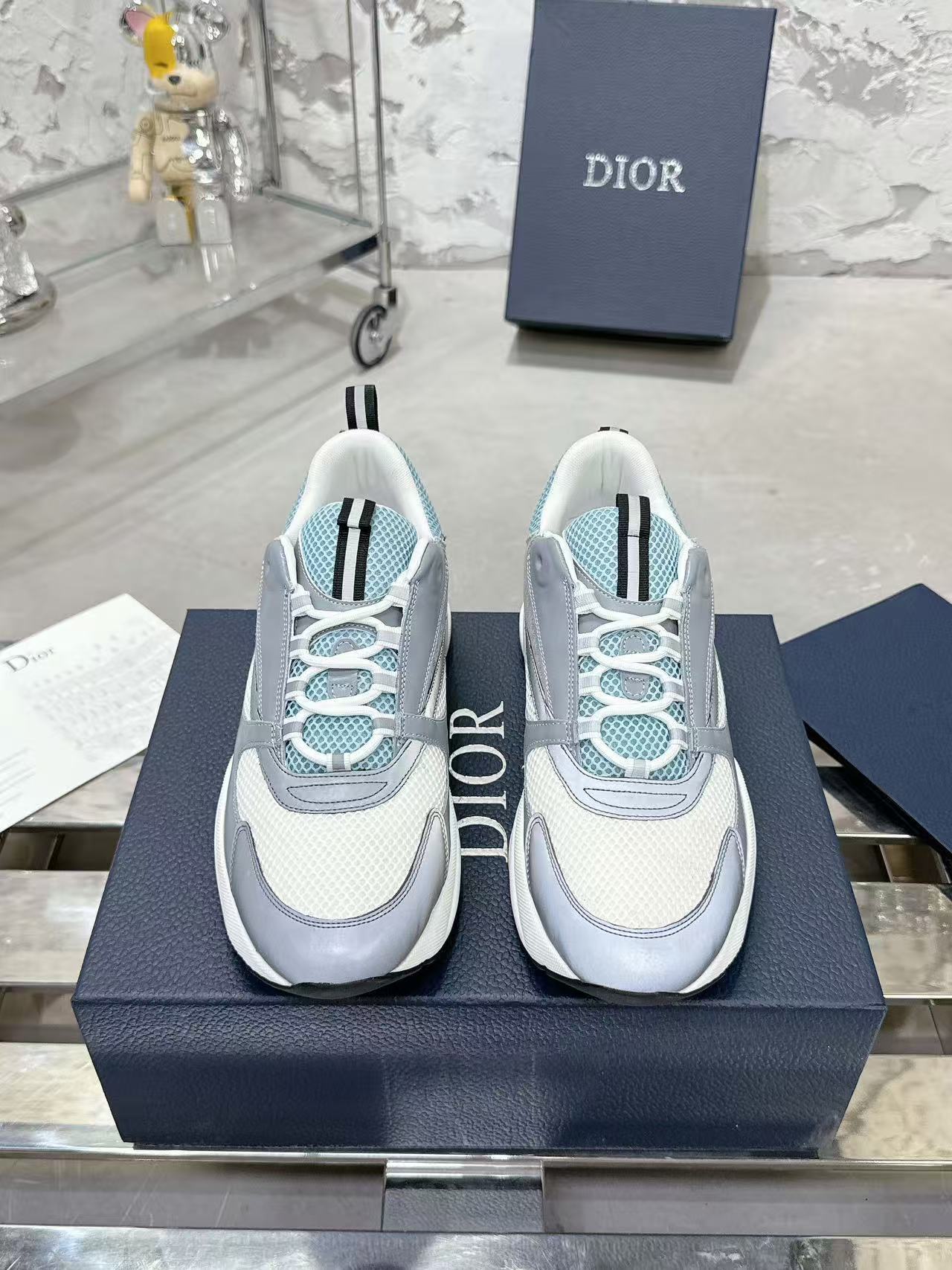 Dior B22