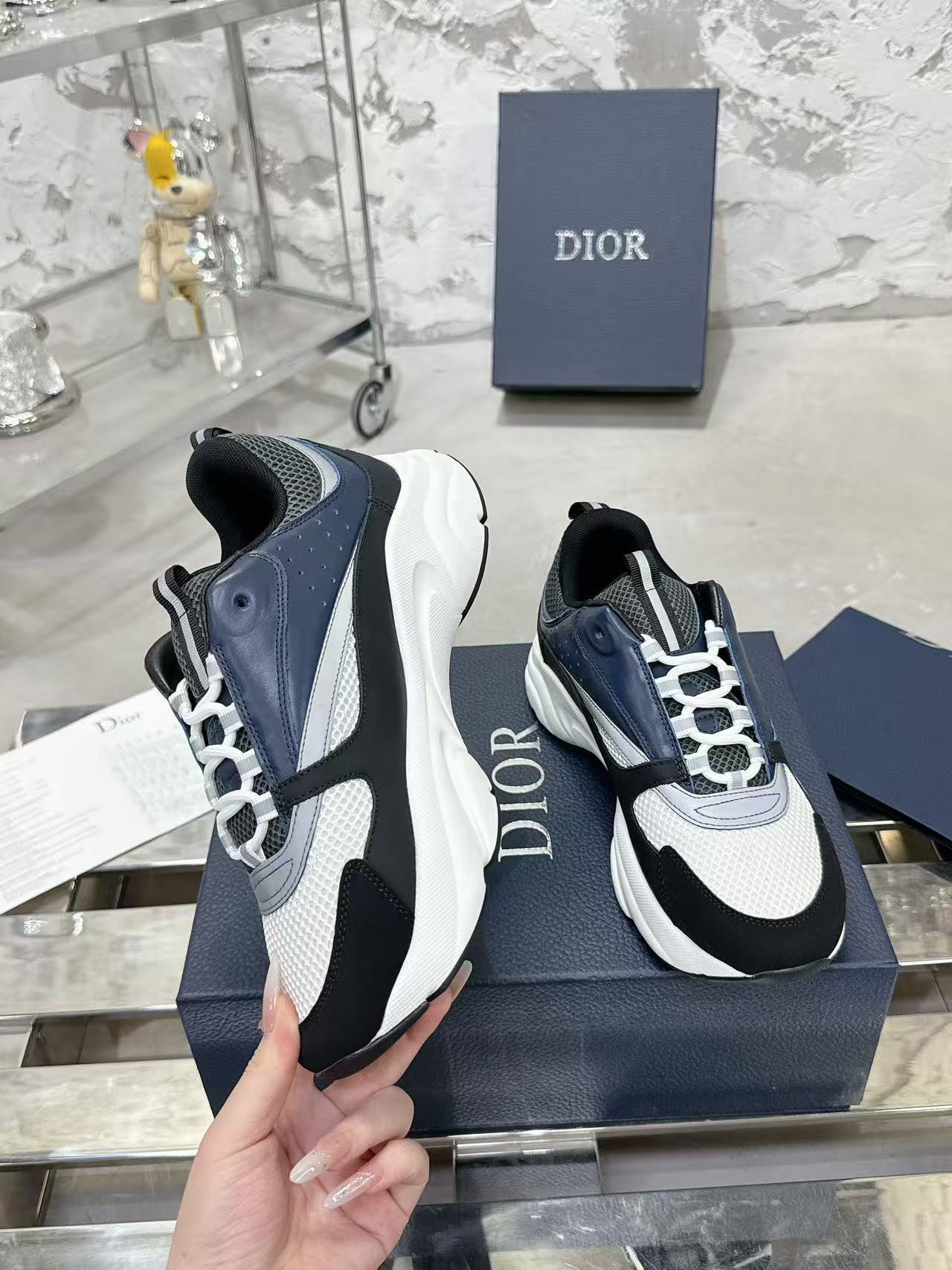 Dior B22