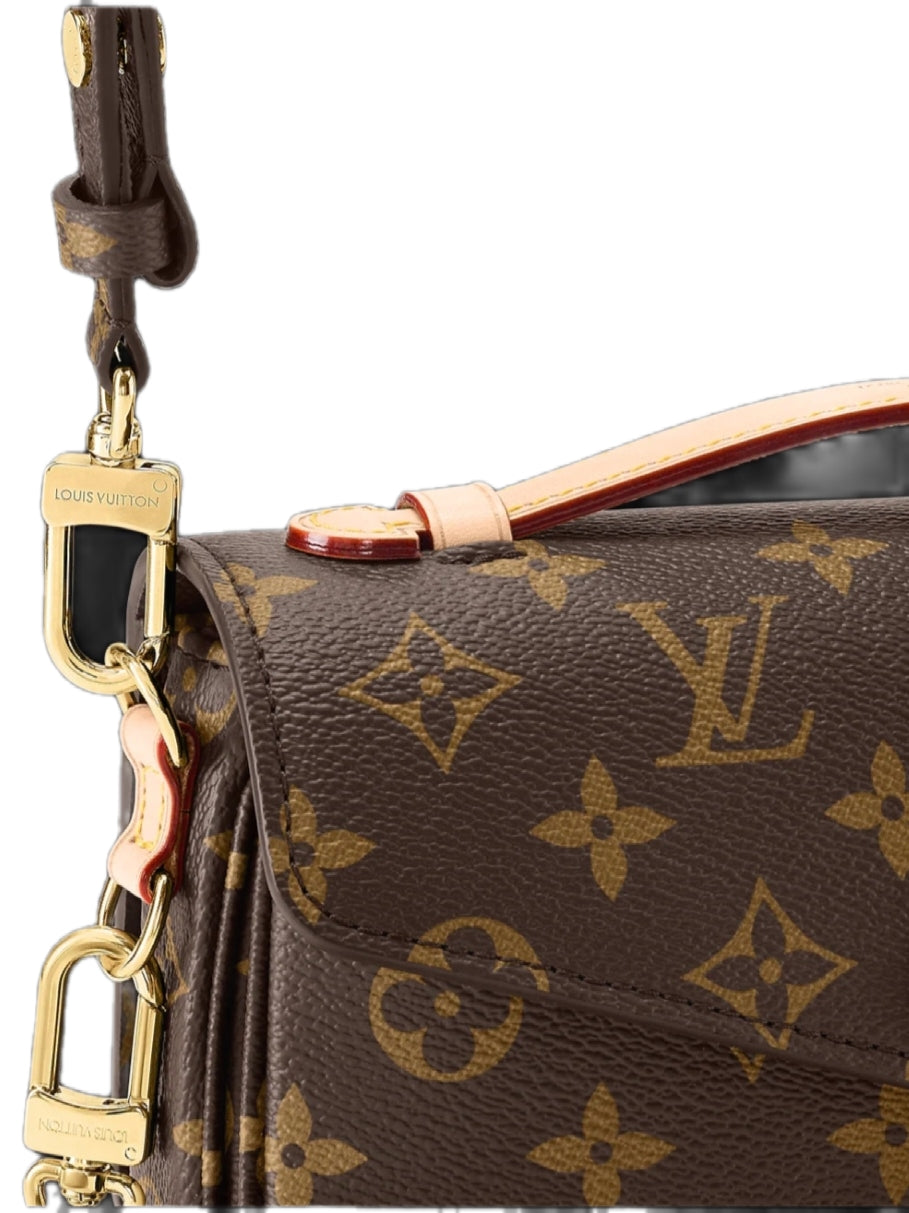Louis Vuitton Pochette Métis East West